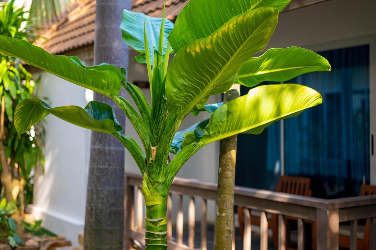 Samui Natien Resort Chaweng  Exterior foto